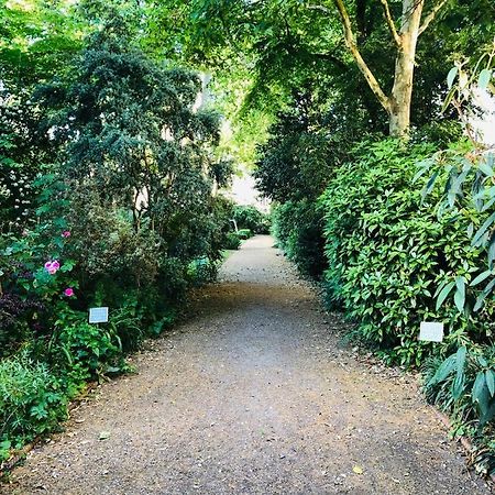 Southern Belgravia Apartments Londra Esterno foto