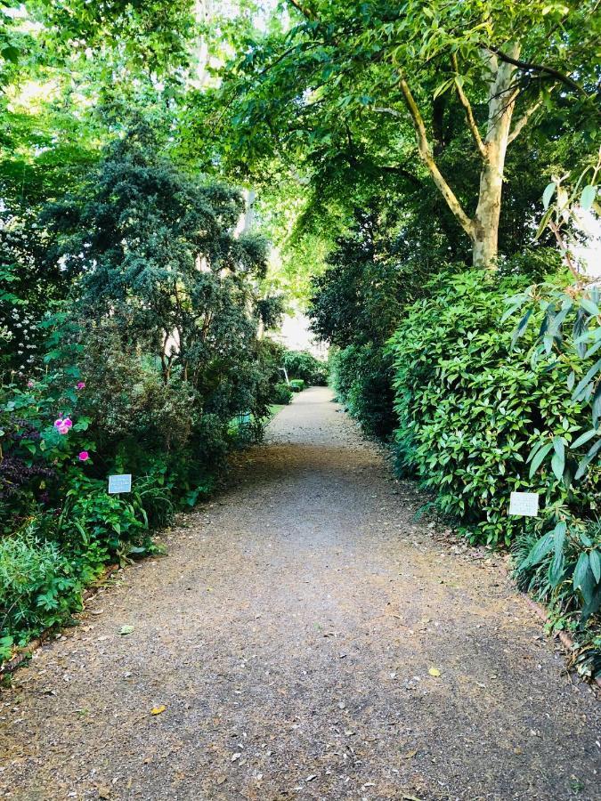 Southern Belgravia Apartments Londra Esterno foto